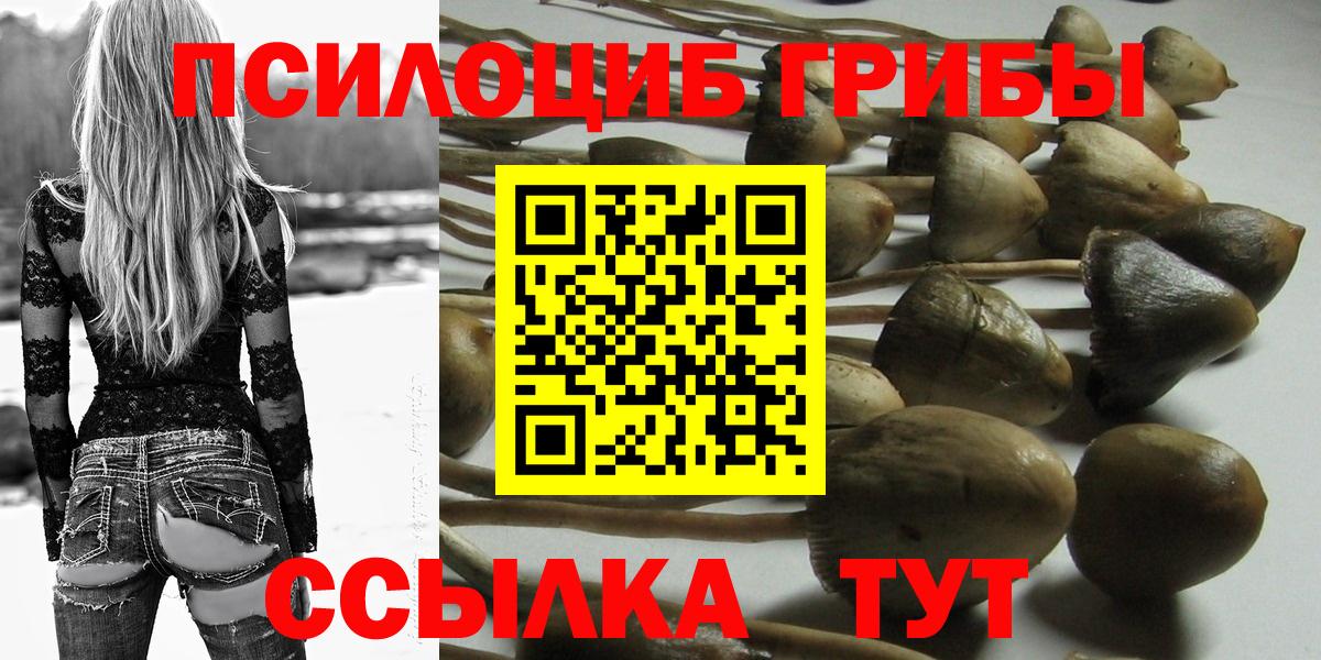 Жуковский  Галлюциногенные грибы GOLDEN TEACHER  Вход с VPN 